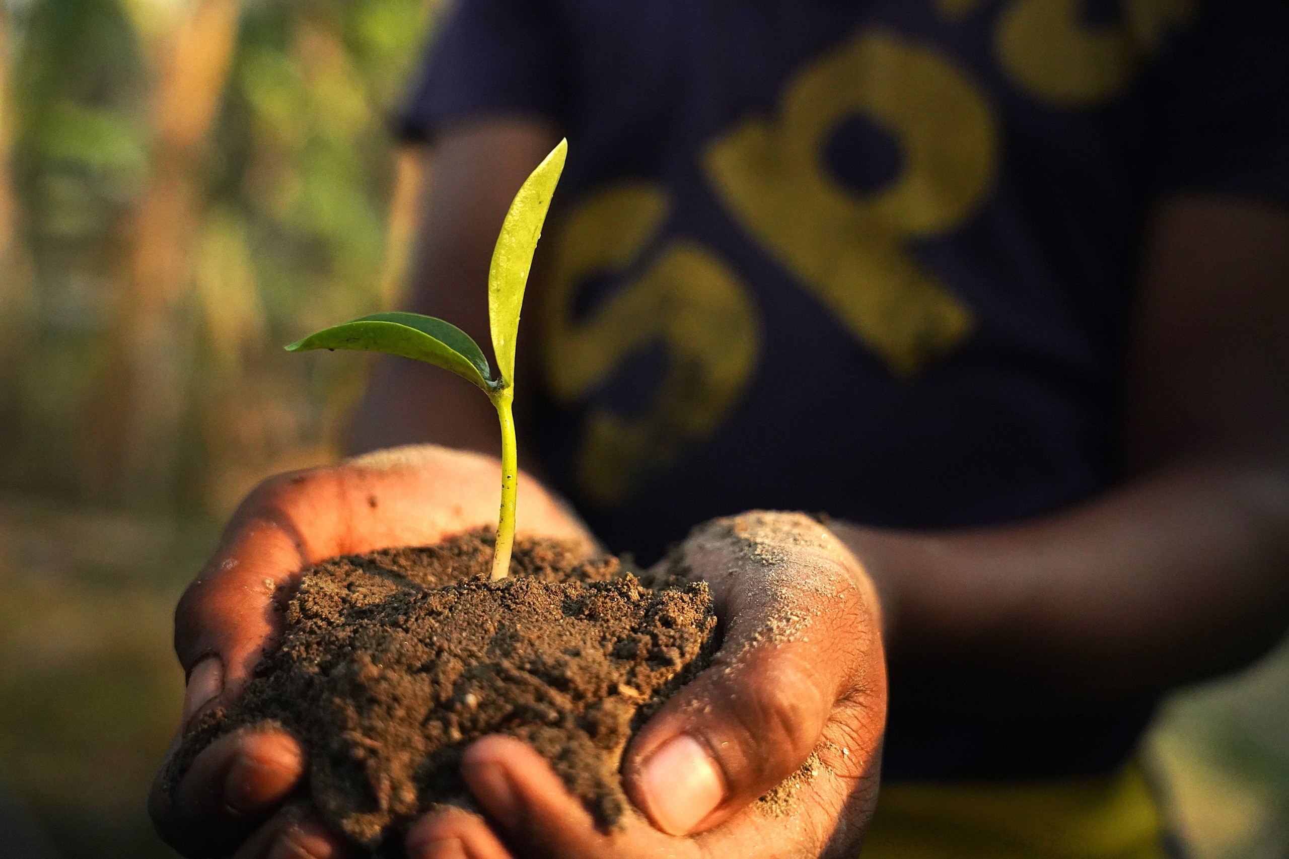 Restore the Earth — Planting Hope, Growing Resilience