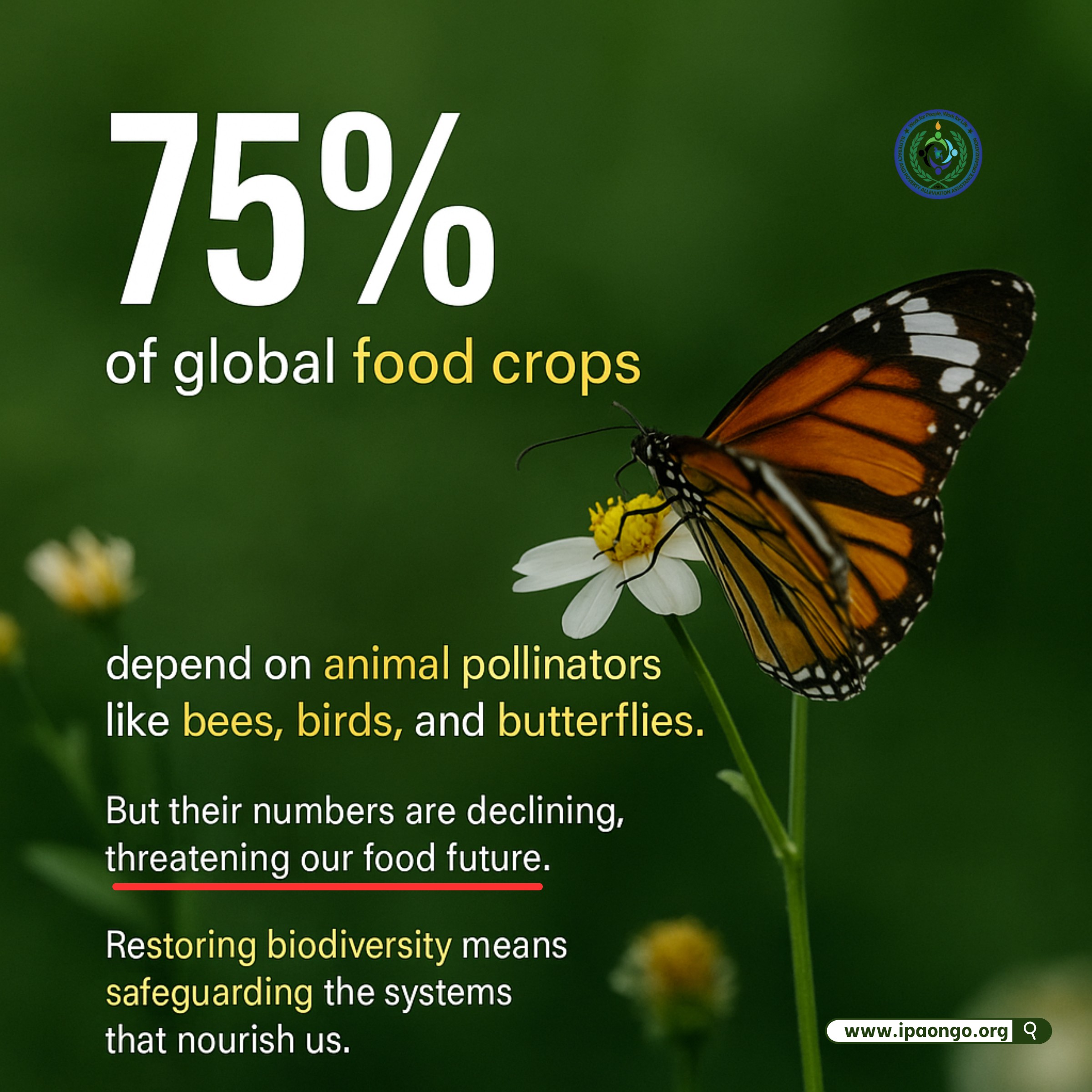 Safeguarding Pollinators for Food Security and Biodiversity
