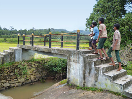 Bridge