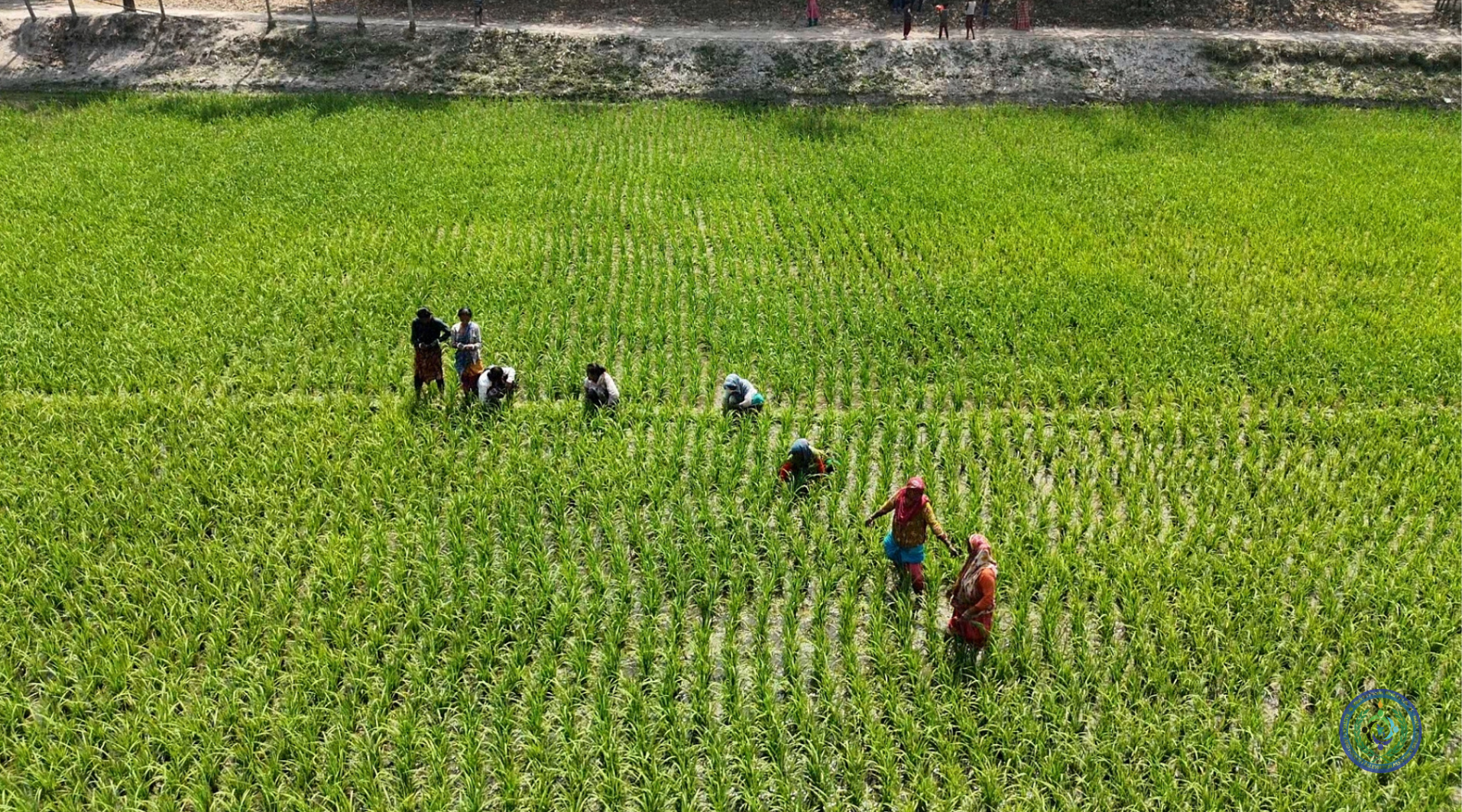 Smart Agriculture